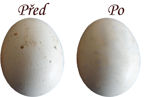 Retušování